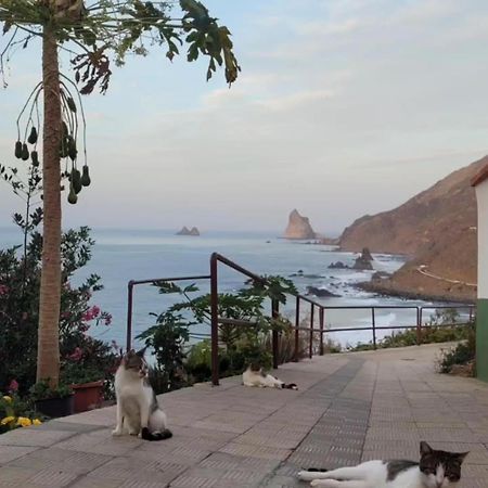 Casa Manolo Paraiso Beach Trail Almaciga Eksteriør bilde