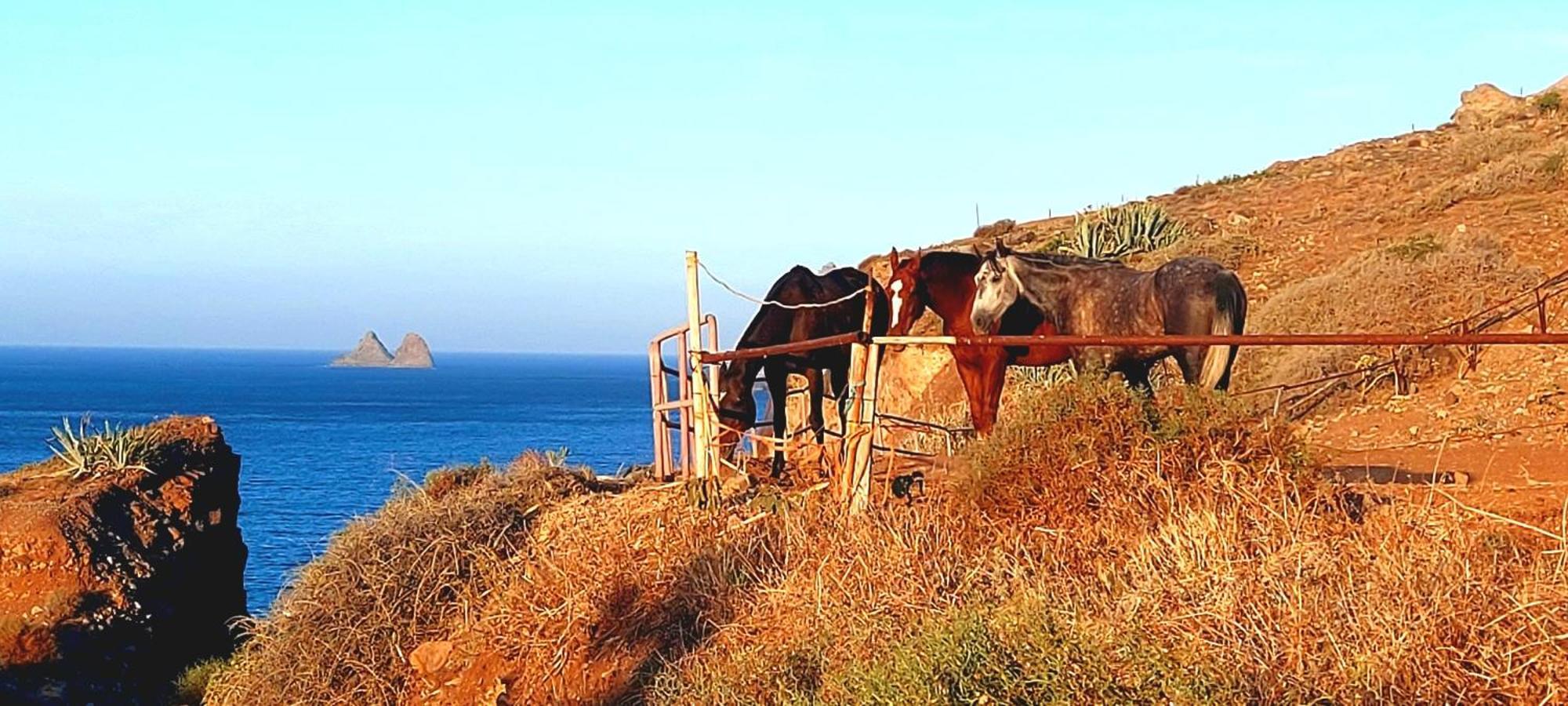 Casa Manolo Paraiso Beach Trail Almaciga Eksteriør bilde