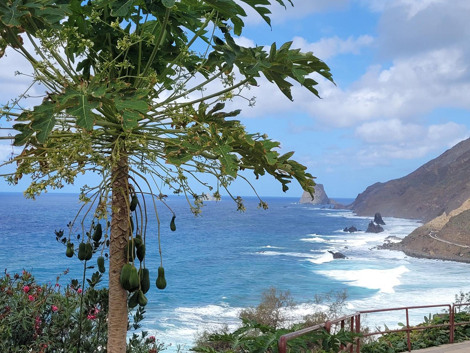 Casa Manolo Paraiso Beach Trail Almaciga Eksteriør bilde