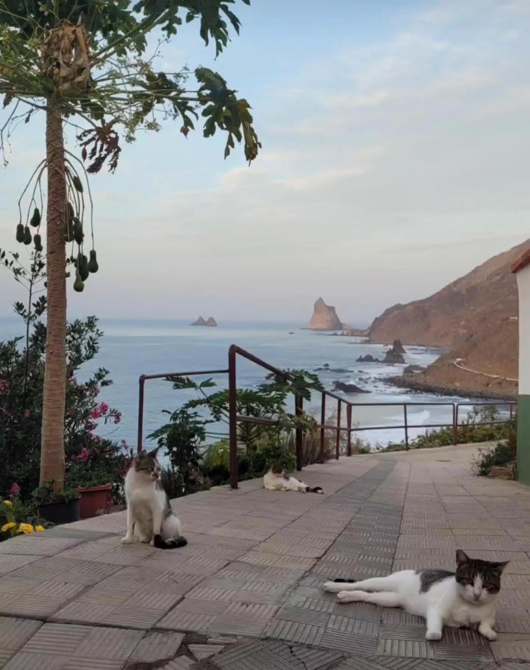 Casa Manolo Paraiso Beach Trail Almaciga Eksteriør bilde